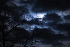 Lower Austria Night Sky Drucke: Branches and clouds in front of full moon