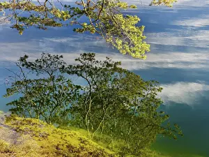 Tyrol Landscape Photography Drucke: Branches reflected in crystal clear water