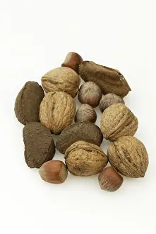 Brazil Nuts Drucke: Brazil nuts, hazelnuts and walnuts