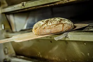 Bakery Products Photography Drucke: Bread, fresh from the oven