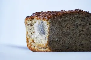 Central Europe Baked Goods Drucke: Bread with mould, summer, Germany