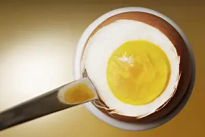 Fried Egg Nutrition Facts Drucke: Breakfast egg