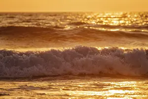 Backlit Beach Scene Drucke: Breaking ocean wave on sunset backlit with sun