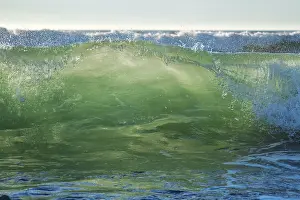 Backlit Beach Scene Drucke: Breaking ocean wave on sunset backlit with sun