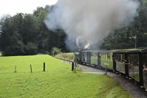 Vintage Train Transport Drucke: Bregenzerwaldbahn, Walderbahnle