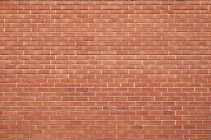 Uninhabited Brick Structure Drucke: Brick wall