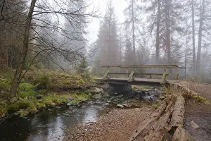 Protected Area In Germany Drucke: Bridge at the Oderteich, Nebel