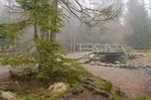 Northern Germany Waterfront Drucke: Bridge at the Oderteich, Nebel