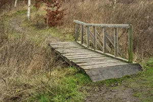 Scandinavian Forest Landscape Drucke: Bridge in path over stream in forest in winter in Ystad