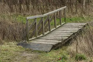 Swedish Countryside Winter Scene Drucke: Bridge in path over stream in forest in winter in Ystad