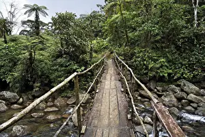 Deserted River Crossing Drucke: Bridge over river in rainforest