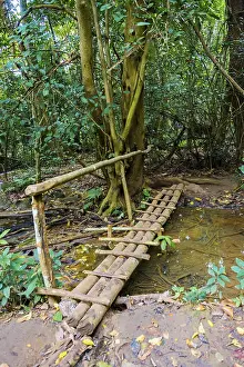 Drucke von Brücke über einen kleinen Bach, Regenwald, Tat Kuang Si-Wasserfälle, Luang Prabang, Provinz Luang Prabang, Laos Laos Drucke: Brücke über einen kleinen Bach, Regenwald.
