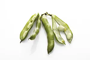 Vegetable Still Life Photography Drucke: Broad beans