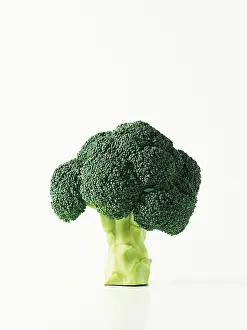 Nature Botany Images Drucke: Broccoli