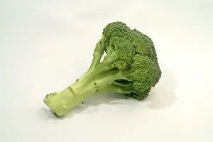 Fresh Green Vegetable Drucke: Broccoli