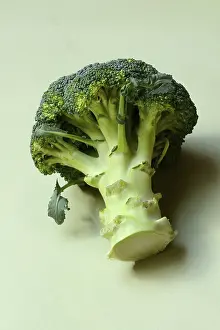 Green Background Food Drucke: Broccoli on green background, broccoli