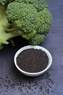 Healthy Food Images Drucke: Broccoli seeds in shell and broccoli, Germany