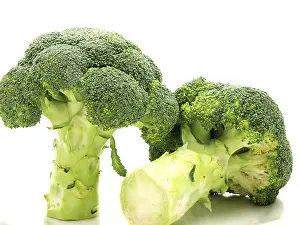 Nutrition Meal Ideas Drucke: Broccoli, one standing, one laying down