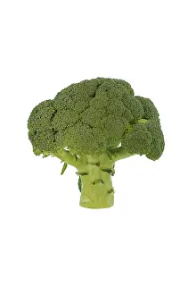 Nutrition Rich Broccoli Drucke: Broccoli, studio shot against white background
