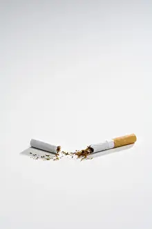 Studio Shot Still Life Drucke: Broken cigarette split into two, split in half