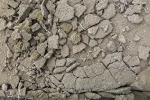 Travel Photography Quebec Province Drucke: Broken concrete surface, Quebec, Canada
