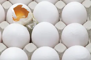 Studio Shot Of Eggs Drucke: A broken egg among whole eggs in an egg carton
