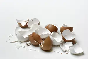Empty Bowl Photography Drucke: Broken eggshells