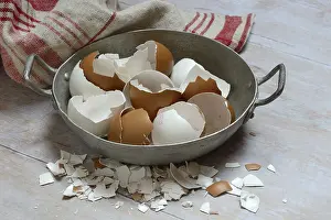 Studio Shot Eggs Drucke: Broken eggshells in shells