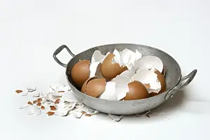 Plain Colored Background Photoshoots Drucke: Broken eggshells in shells