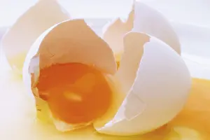 Still Life Studio Shot Drucke: Broken open egg