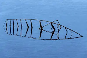 Germany Open Air Photography Drucke: Broken reed with reflection in blue water