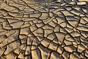 Drought Stricken Landscapes Drucke: Broken surface of a dry claypan
