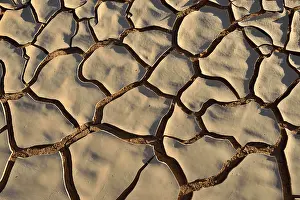 Arabian Peninsula Landscape Drucke: Broken surface of a dry claypan