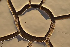 Arabian Peninsula Coastal Area Drucke: Broken surface of a dry claypan