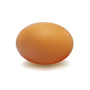 Healthy Breakfast Meal Ideas Drucke: Brown egg with a light shadow on white background
