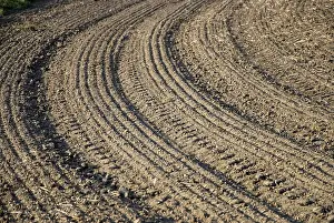 Agricultural Scenery Drucke: Brown field with parallel pattern
