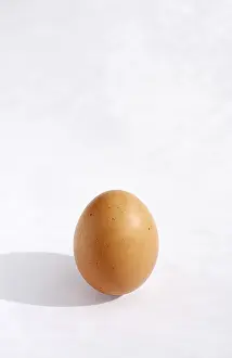 Chicken Egg Nutrition Facts Drucke: Brown hen's egg, white background