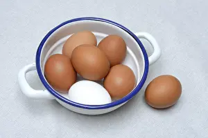 Brown Chicken Eggs Drucke: Brown and white chicken eggs in shell, egg