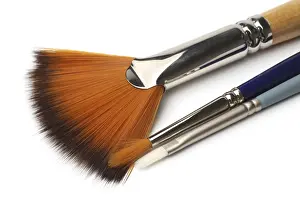 Horse Riding Equipment Drucke: Brushes on white background