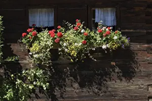 Tyrol Austria Drucke: Bschlabs Tyrol Austria