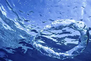 Underwater World Photo Drucke: Bubble Ring Ascends towards the Sun, Underwater