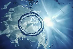 Underwater Ring Drucke: Bubble Ring Underwater ascends towards the Sun