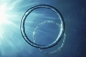 Underwater Ring Drucke: Bubble Ring Underwater ascends towards the Sun