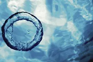 Underwater Ring Drucke: Bubble Ring Underwater Ascends Towards The Sun