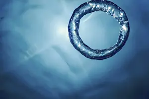 Underwater Ring Drucke: Bubble Ring Underwater ascends towards the Sun