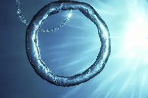 Underwater Ring Drucke: Bubble Ring Underwater ascends towards the Sun