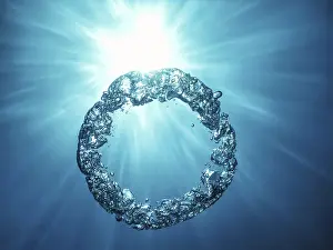 Underwater Ring Drucke: Bubble Ring Underwater ascends towards the Sun