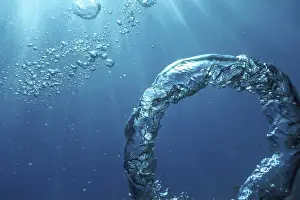 Underwater Photography Drucke: Bubble Ring Underwater, Ring Bubble