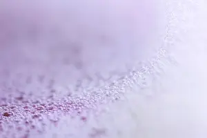 Filling The Format Picture Drucke: Bubbles, lather, Germany