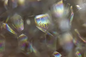 German Federal Republic Image Drucke: Bubbles, lather, Germany